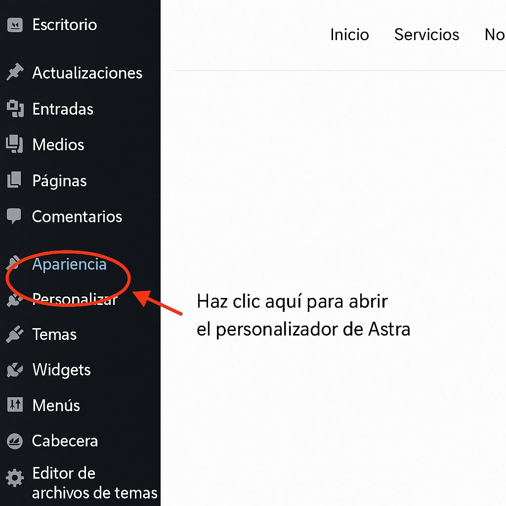 clic aquí para abrir el personalizador de Astra